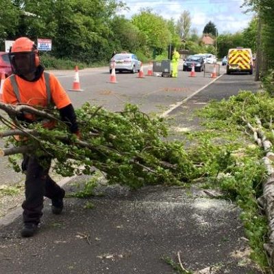 Storm Damage tree fallen onto path