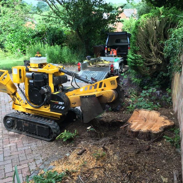 stump grinding machine