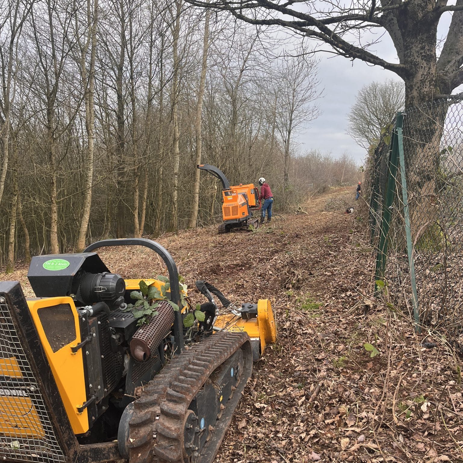 tree mulching service for walking paths