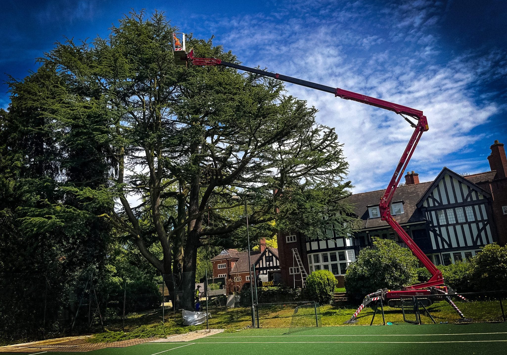 tree pruning 4 tree pruning