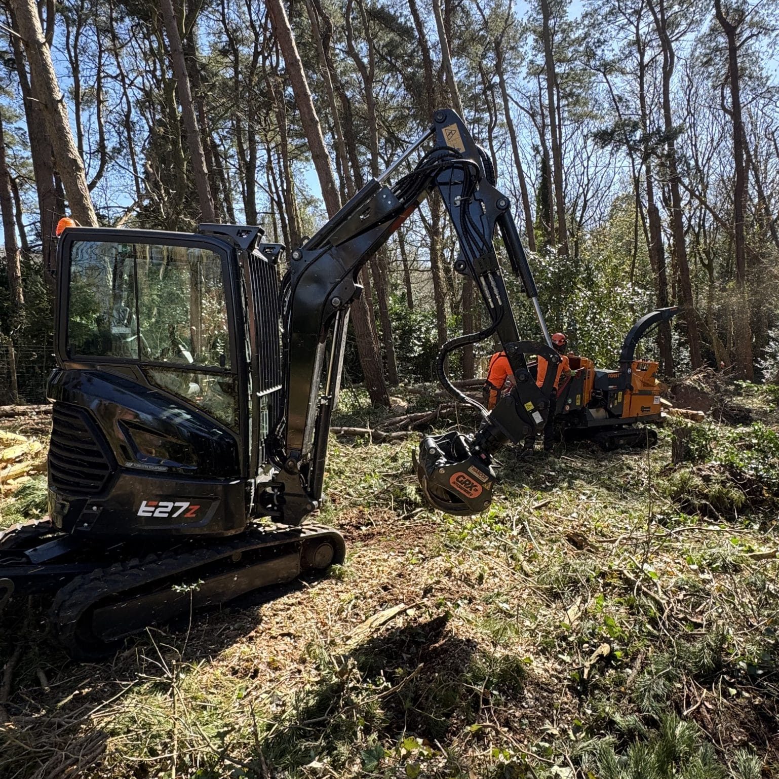woodland management commercial tree surgery